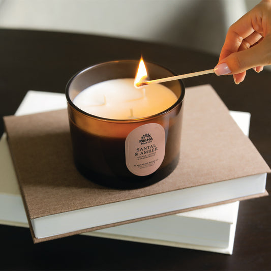 Santal & Amber Signature Candle, Amber Glass 15 oz