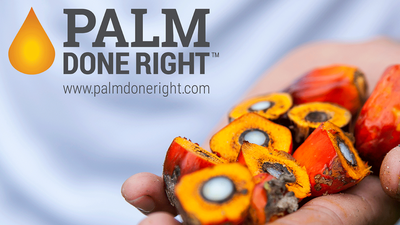 Palm Done Right: Sustainably Producing Palm Oil
