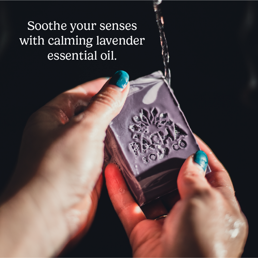 Best-Sellers Bar Soap Bundle
