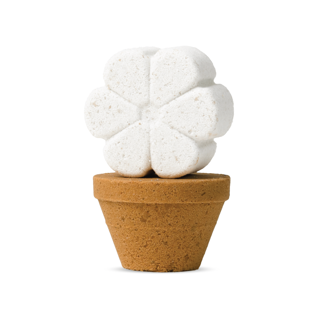 Flower Pot Bath Bomb 2 Pack