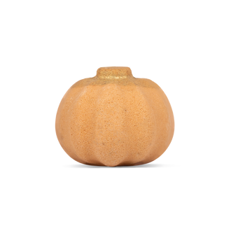 Spiced Pumpkin & Amber Bath Bomb