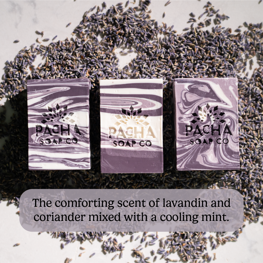 Pacha French Lavender Bar Soap Pacha French Lavender Bar Soap
