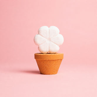 Flower Pot Bath Bomb 2 Pack