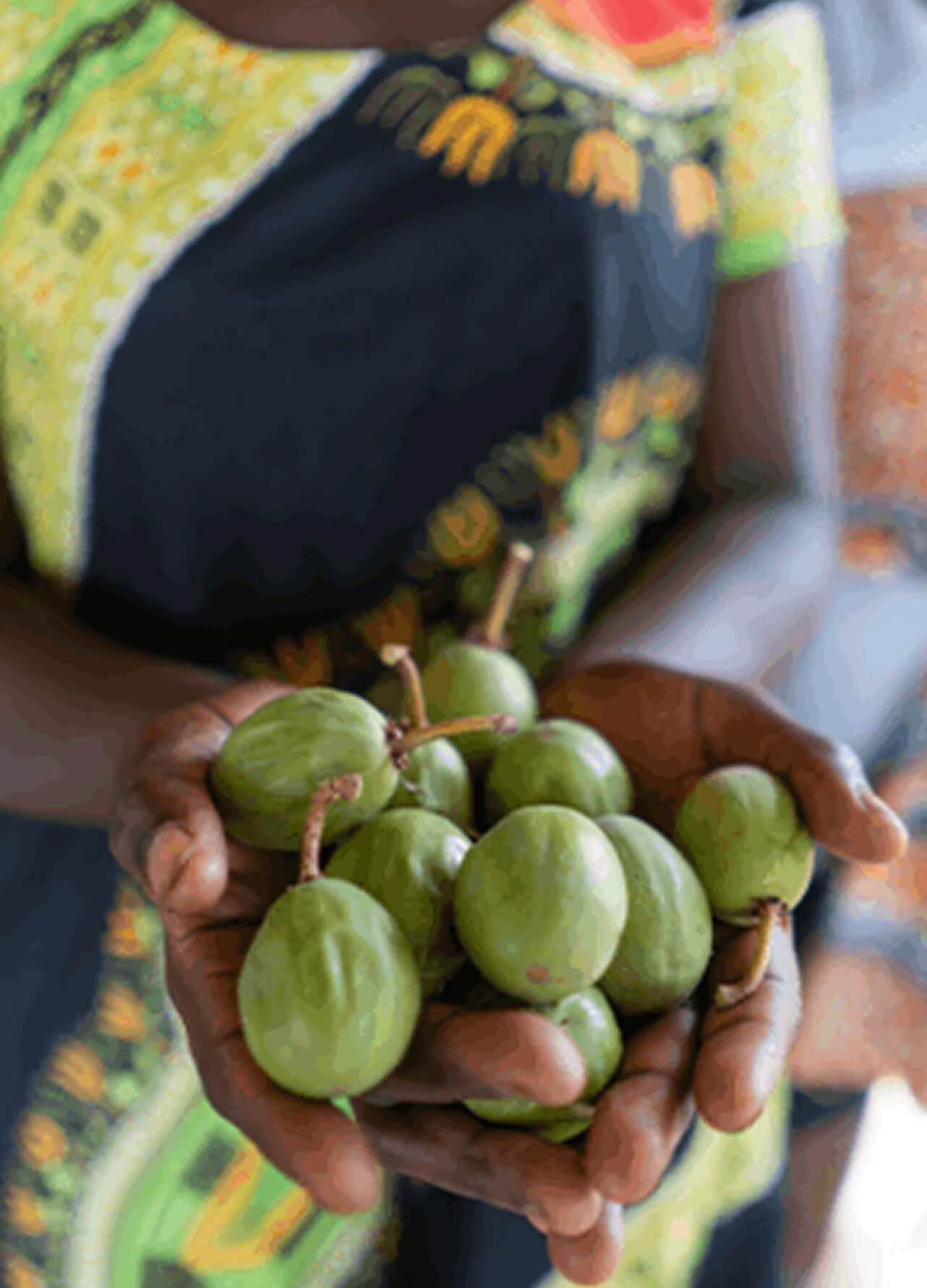 Direct Sourced Ingredients