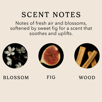 White Blossom & Fig Bath Bomb