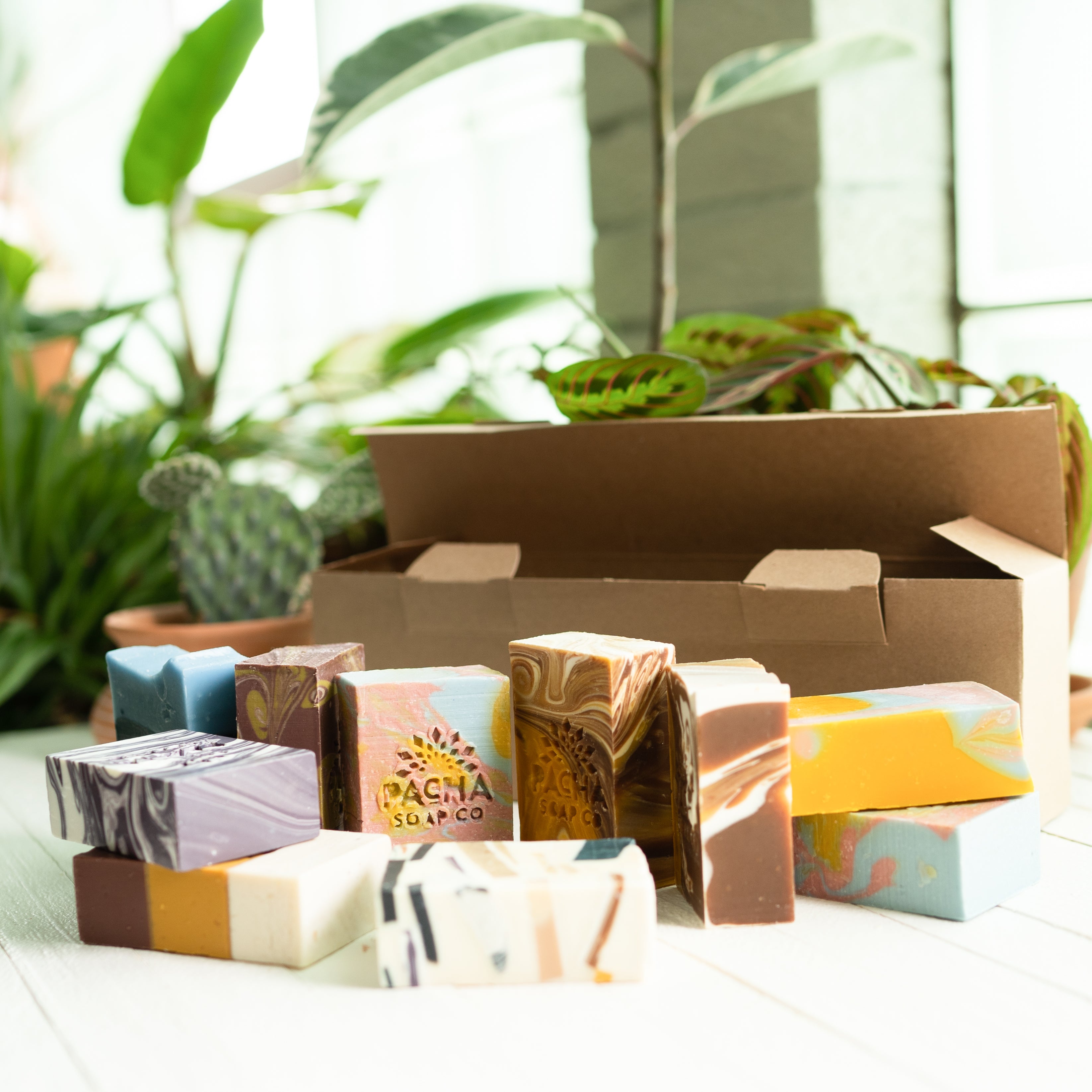 Salvaged Suds Bar Soap 10 Pack